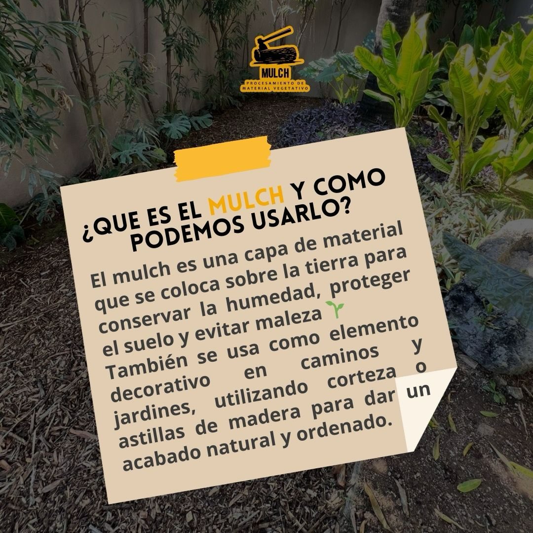 Jardín con cobertura de mulch orgánico aplicado