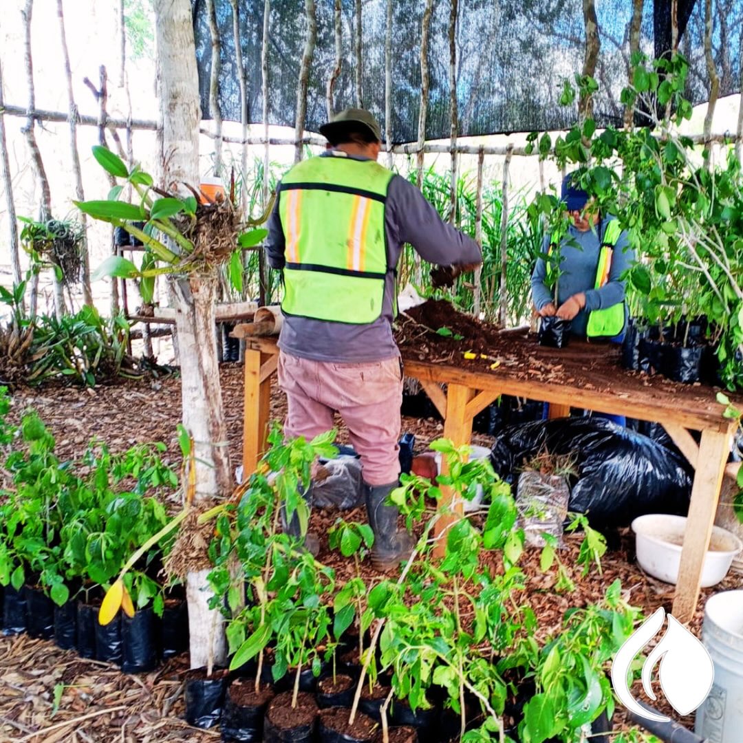 Equipo de Zona de Riego trabajando en el vivero